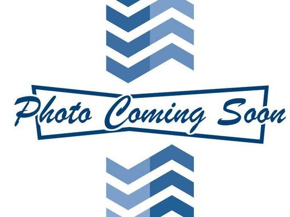 HONDA CIVIC TYPE R 2023 JHMFL5G4XPX001826 image